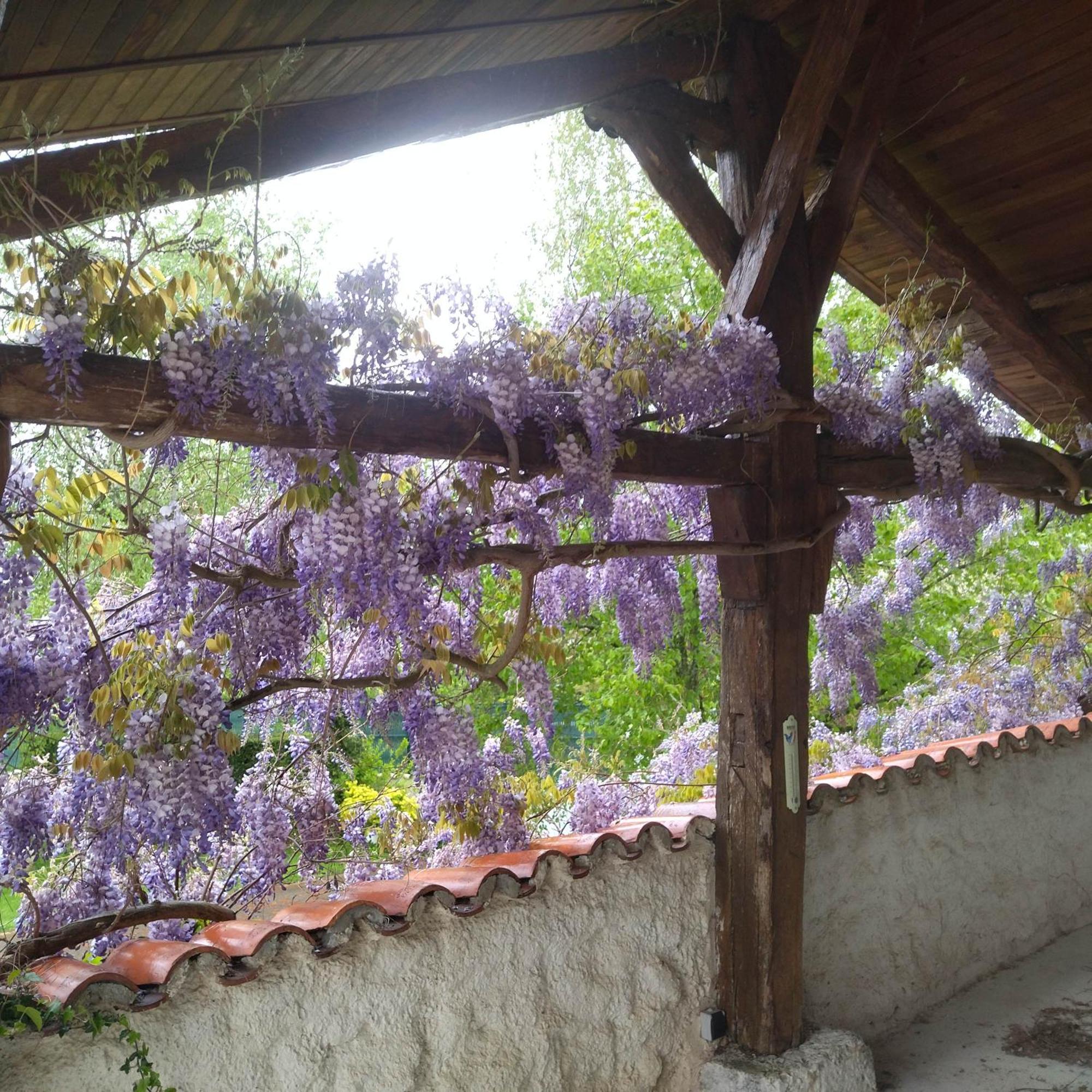 Gite De L'Ancheronne 12 Couchages Spa Villa Lavans-sur-Valouse Dış mekan fotoğraf