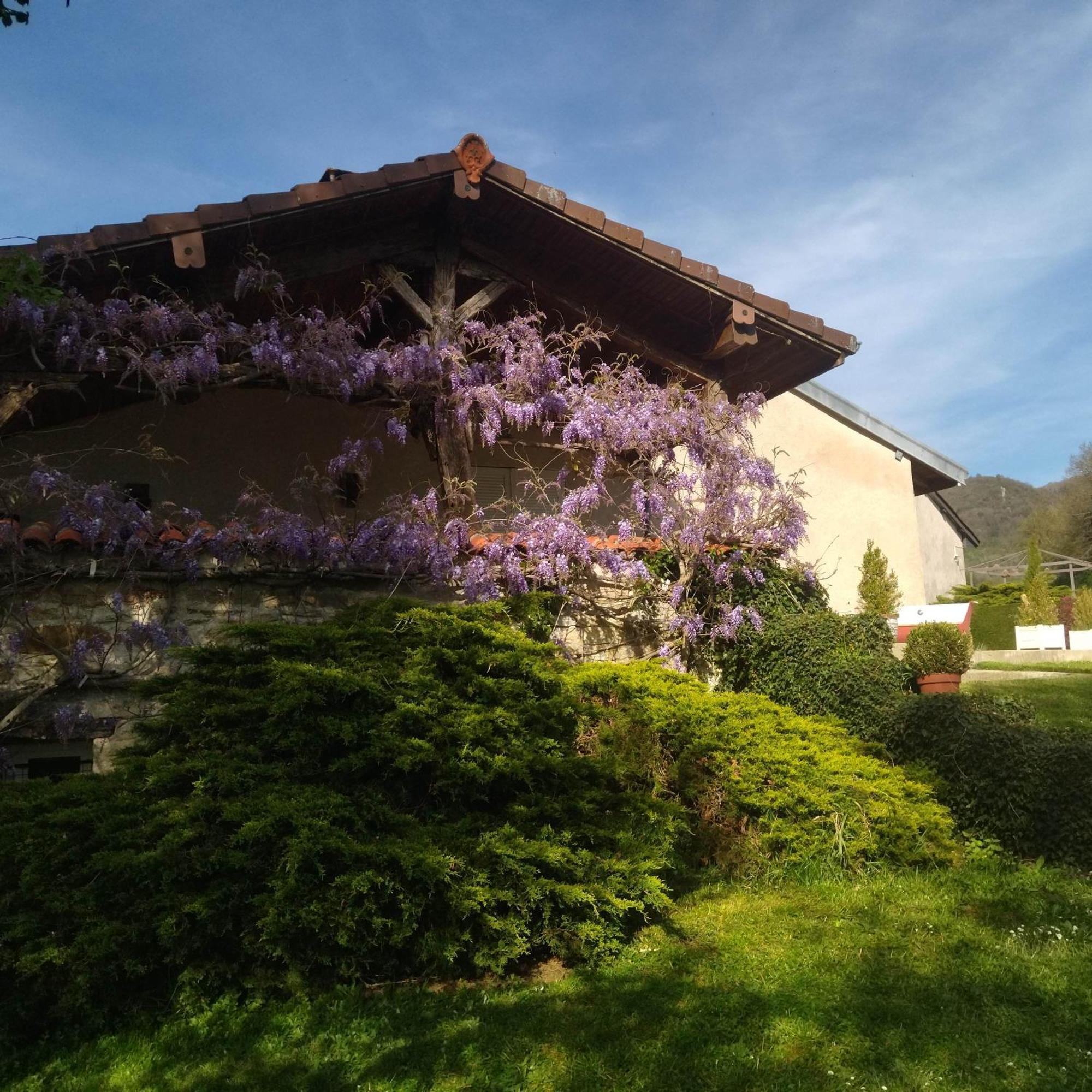 Gite De L'Ancheronne 12 Couchages Spa Villa Lavans-sur-Valouse Dış mekan fotoğraf