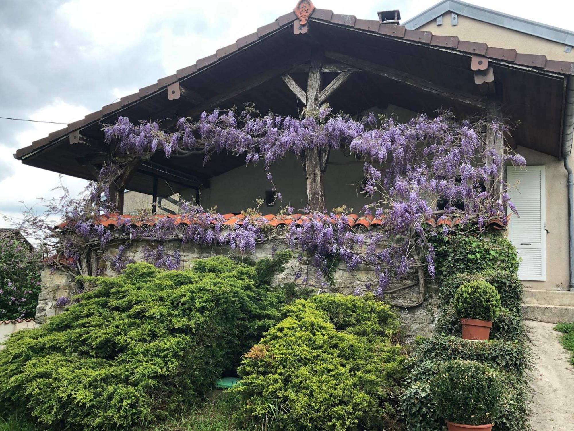 Gite De L'Ancheronne 12 Couchages Spa Villa Lavans-sur-Valouse Dış mekan fotoğraf