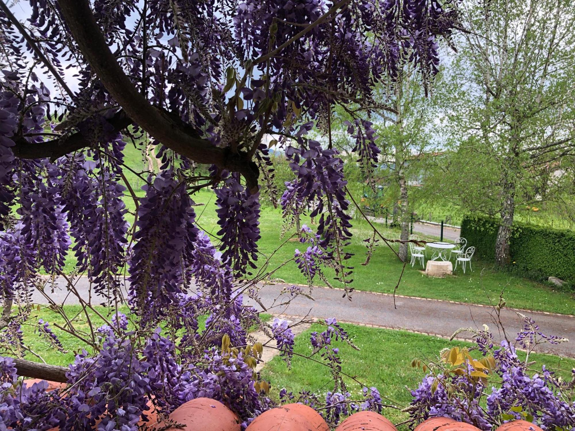 Gite De L'Ancheronne 12 Couchages Spa Lavans-sur-Valouse Dış mekan fotoğraf